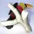 Foto de um(a) Antiga Rara Escultura Tucano Porcelana Alemã Goebel Assinada, da categoria de Escultura. Goebel, Germany. Antiga escultura artística, bloco escultórico Art Deco, representando tucano em fina porcelana alemã, da... Mostrado de uma perspectiva diferente. Vendido no marketplace Trésors.