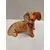 Foto de um(a) Cachorro Dachshund em Cerâmica, Década de 1940, da categoria de Modelos e estatuetas. Cachorro em cerâmica da raça dachshund na cor caramelo, década de 1940, sem marca do fabricante. A: 13 cm L: 18, 5 cm P: 8... Mostrado de uma perspectiva diferente. Vendido no marketplace Trésors.