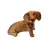 Foto de um(a) Cachorro Dachshund em Cerâmica, Década de 1940, da categoria de Modelos e estatuetas. Cachorro em cerâmica da raça dachshund na cor caramelo, década de 1940, sem marca do fabricante. A: 13 cm L: 18, 5 cm P: 8... Vendido no marketplace Trésors.