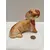 Foto de um(a) Cachorro Dachshund em Cerâmica, Década de 1940, da categoria de Modelos e estatuetas. Cachorro em cerâmica da raça dachshund na cor caramelo, década de 1940, sem marca do fabricante. A: 13 cm L: 18, 5 cm P: 8... Mostrado de uma perspectiva diferente. Vendido no marketplace Trésors.