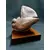 Foto de um(a) Escultura Pombo em Terracota e Madeira, Década de 1980, da categoria de Escultura. Escultura de um pombo em terracota com pátina envelhecida e base em madeira de cedro. Peça única, assinada mas ilegível,... Mostrado de uma perspectiva diferente. Vendido no marketplace Trésors.