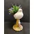 Foto de um(a) Pomba em Cerâmica e Madeira, Década de 2000, da categoria de Modelos e estatuetas. Pomba de cerâmica craquelada na cor bege e base em madeira torneada na cor mostarda, tassel bege com porcelana, década de... Mostrado de uma perspectiva diferente. Vendido no marketplace Trésors.