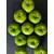 Foto de um(a) Green Apple Anos 2000, da categoria de Outros objetos decorativos. Maçãs verdes artificiais em plástico, década de 2000 combo com 10 unidades. *não acompanha fruteira*. Mostrado de uma perspectiva diferente. Vendido no marketplace Trésors.