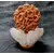 Foto de um(a) Anjo em Terracota Marsam, da categoria de Modelos e estatuetas. Escultura de anjo em terracota marsam. Policromia em tons terrosos, todo o cuidado do artista em fazer peças únicas e para... Mostrado de uma perspectiva diferente. Vendido no marketplace Trésors.