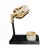 Foto de um(a) Porta Treco Crânio Tiranossauro Rex, da categoria de Outros objetos decorativos. Porta treco crânio tiranossauro rex da top cau em plástico envelhecido e envernizado. Com copo em resina e osso, base em... Vendido no marketplace Trésors.
