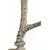 Foto de um(a) Galhada de cervo, da categoria de Outros objetos decorativos. Imponente galhada de cervo em arranjo para parede com base em madeira de lei. Base com 15A x 10cm de larguraGalhada com 25A... Mostrado de uma perspectiva diferente. Vendido no marketplace Trésors.