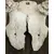 Foto de um(a) Galhada de cervo, da categoria de Outros objetos decorativos. Imponente galhada de cervo em arranjo para parede com base em madeira de lei. Base com 15A x 10cm de larguraGalhada com 25A... Mostrado de uma perspectiva diferente. Vendido no marketplace Trésors.