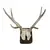 Foto de um(a) Galhada de cervo, da categoria de Outros objetos decorativos. Imponente galhada de cervo em arranjo para parede com base em madeira de lei. Base com 15A x 10cm de larguraGalhada com 25A... Vendido no marketplace Trésors.