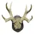 Foto de um(a) Imponente galhada de cervo, da categoria de Outros objetos decorativos. Imponente galhada de cervo em arranjo para parede com base em madeira nobre trabalhada. Medidas da base 25A X 20L e galhada... Mostrado de uma perspectiva diferente. Vendido no marketplace Trésors.