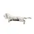 Foto de um(a) Cachorro Origami Anos 2000, da categoria de Modelos e estatuetas. Cachorro em resina na cor branca, inspirado nos origamis de papel, peça dos anos 2000.A: 9 cm / P: 6 cm / L: 26,5 cmPeso:... Vendido no marketplace Trésors.