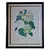 Foto de um(a) Lindo Quadro Botânico Clássico (Ilustração de P.J. Redouté), da categoria de Desenhos. Bouquet de Camélias, Narcisos e Amores-Perfeitos Tema: Ilustração botânica clássica de Pierre-Joseph Redouté ("Bouquet de... Vendido no marketplace Trésors.