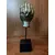 Foto de um(a) Escultura Hand, da categoria de Escultura. Escultura em resina com pátina bronze oxidada, haste em metal e base em madeira ebanizada. Peça única pelo designer marcelus... Mostrado de uma perspectiva diferente. Vendido no marketplace Trésors.