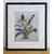 Foto de um(a) Belo Par de quadros com gravuras de Orquídea, da categoria de Gravuras. Belíssimos quadros decorativos em serigrafia, técnica que utiliza a seda como tela, com ilustrações botânicas clássicas de... Mostrado de uma perspectiva diferente. Vendido no marketplace Trésors.