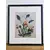Foto de um(a) Belos quadros com gravuras botânicas antigas de orquídea, da categoria de Gravuras. Belíssimos quadros com gravuras em serigrafia, técnica que utiliza a seda como tela, os quadros apresentam ilustrações... Mostrado de uma perspectiva diferente. Vendido no marketplace Trésors.