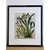 Foto de um(a) Belo Par de quadros com gravuras de Orquídea, da categoria de Gravuras. Belíssimos quadros decorativos em serigrafia, técnica que utiliza a seda como tela, com ilustrações botânicas clássicas de... Mostrado de uma perspectiva diferente. Vendido no marketplace Trésors.