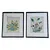 Foto de um(a) Belos quadros com gravuras botânicas antigas de orquídea, da categoria de Gravuras. Belíssimos quadros com gravuras em serigrafia, técnica que utiliza a seda como tela, os quadros apresentam ilustrações... Vendido no marketplace Trésors.