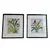 Foto de um(a) Belo Par de quadros com gravuras de Orquídea, da categoria de Gravuras. Belíssimos quadros decorativos em serigrafia, técnica que utiliza a seda como tela, com ilustrações botânicas clássicas de... Vendido no marketplace Trésors.