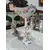 Foto de um(a) Centro de mesa ou fruteira porcelana alemã Dresden (1890-1920), da categoria de Centro de mesa. Espetacular centro de mesa (fruteira pedestal) em legítima porcelana alemã de Dresden, ricamente policromada e com detalhes... Mostrado de uma perspectiva diferente. Vendido no marketplace Trésors.