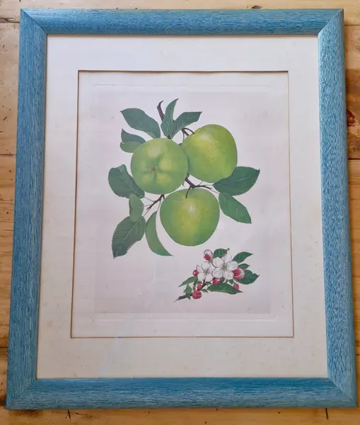 Foto de um(a) Belíssimo conjunto de quadros botânicos de frutas 3 peças, da categoria de Gravuras. Lindos quadros decorativos vintage com moldura azul texturizada e vidro, ideais para cozinhas e áreas gourmet. O conjunto... Mostrado de uma perspectiva diferente. Vendido no marketplace Trésors.