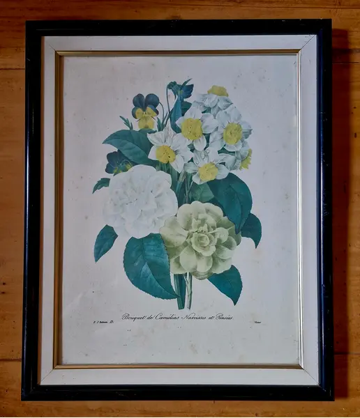 Foto de um(a) Lindo Quadro Botânico Clássico (Ilustração de P.J. Redouté), da categoria de Desenhos. Bouquet de Camélias, Narcisos e Amores-Perfeitos Tema: Ilustração botânica clássica de Pierre-Joseph Redouté ("Bouquet de... Mostrado de uma perspectiva diferente. Vendido no marketplace Trésors.