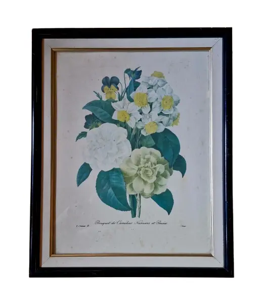 Foto de um(a) Lindo Quadro Botânico Clássico (Ilustração de P.J. Redouté), da categoria de Desenhos. Bouquet de Camélias, Narcisos e Amores-Perfeitos Tema: Ilustração botânica clássica de Pierre-Joseph Redouté ("Bouquet de... Vendido no marketplace Trésors.