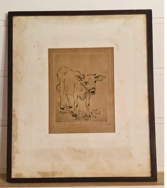 Foto de um(a) Bela gravura europeia do século XX, da categoria de Desenhos. Quadro emoldurado com vidro. Gravura europeia do século XX, retratando um bezerro. O texto na parte inferior da gravura é... Mostrado de uma perspectiva diferente. Vendido no marketplace Trésors.