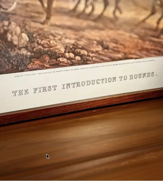 Foto de um(a) Gravura com Moldura em Jacaranda - THE FIRST INTRODUCTION TO HOUNDS. Gravura by J.Harris Pintado by H. Alken., da categoria de Desenhos. Este quadro é um verdadeiro encontro entre arte, história e matéria-prima nobre. A cena retrata uma tradicional caçada a... Mostrado de uma perspectiva diferente. Vendido no marketplace Trésors.