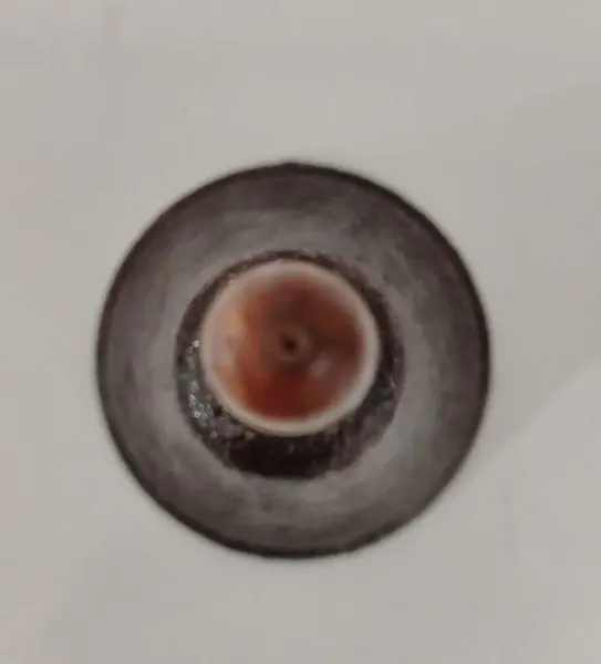 Foto de um(a) Sineta de Mesa em Metal, Madeira e Ferro, Década de 1940, da categoria de Outros objetos decorativos. Sineta de mesa antiga em metal oxidado e preservado, haste em madeira e badalo de ferro, década de 1940 A: 18,5 cm... Mostrado de uma perspectiva diferente. Vendido no marketplace Trésors.