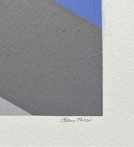 Foto de um(a) Claúdio Tozzi - Geometrico é uma serigrafia exemplar 1 de 20, medindo 48 x 66 cm (obra) e 60 x 78 (moldura) e assinada à mão, da categoria de Serigrafia. Claudio Tozzi é doutor em arquitetura pela Faculdade de Arquitetura e Urbanismo da Universidade de São Paulo (FAU/USP). Em... Mostrado de uma perspectiva diferente. Vendido no marketplace Trésors.