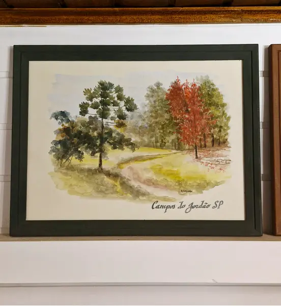 Foto de um(a) Aquarelas da natureza de Campos do Jordão, da categoria de Pinturas. Belo par de aquarelas pintadas à mão por artista local, representando a natureza de Campos do Jordão com Araucária,... Mostrado de uma perspectiva diferente. Vendido no marketplace Trésors.