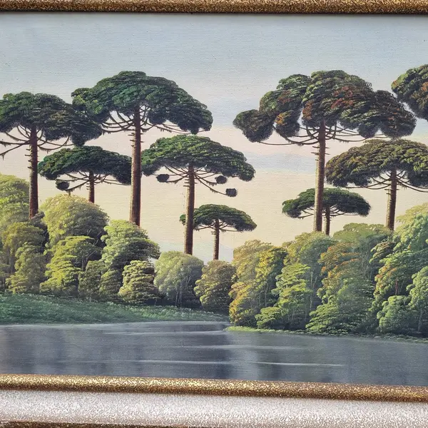 Foto de um(a) Pintura de Óleo Sobre Tela Jansen Filho Representando Araucárias, da categoria de Pinturas. Pintura óleo sobre tela de Jansen Filho representando Araucárias - Moldura de Madeira. Mostrado de uma perspectiva diferente. Vendido no marketplace Trésors.
