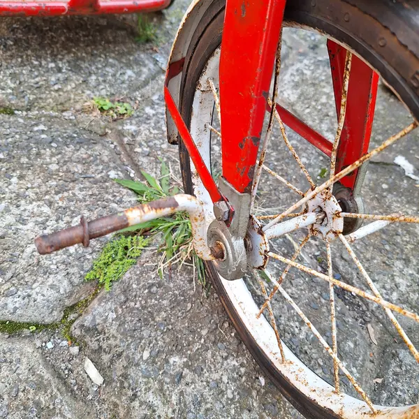 Foto de um(a) Antigo triciclo infantil com corações dois irmãos, da categoria de Triciclos e pedalinhos. Antigo triciclo infantil com corações dois irmãos Dimensões: Altura: 70Largura: 100Profundidade: 45. Mostrado de uma perspectiva diferente. Vendido no marketplace Trésors.