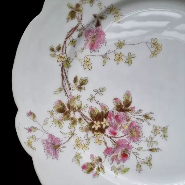 Foto de um(a) Antiguidade prato raso em porcelana Limoges, da categoria de Pratos Decorativos. Prato raso em fina porcelana francesa Limoges com rica decoração floral. França século XIX.24,5 cm de diâmetro. Mostrado de uma perspectiva diferente. Vendido no marketplace Trésors.
