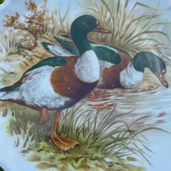 Foto de um(a) Antigo Prato Decorativos Patos Em Porcelana Francesa Limoges, da categoria de Pratos Decorativos. Limoges - France. Antigo e lindo prato decorativo em porcelana artística francesa, pintado à mão e assinado. Meados do... Mostrado de uma perspectiva diferente. Vendido no marketplace Trésors.