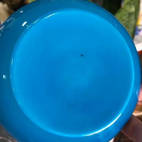 Foto de um(a) Antigo Bowl Art Deco Em Murano Leitoso Opalina Azul, da categoria de Centro de mesa. Altura 5cm Diâmetro 14cm. Mostrado de uma perspectiva diferente. Vendido no marketplace Trésors.