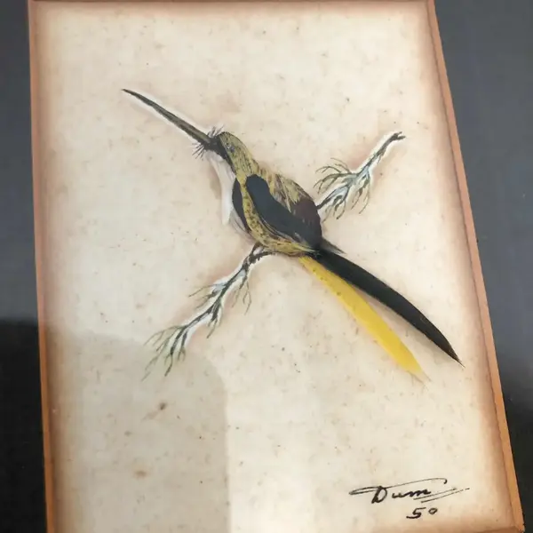 Foto de um(a) Antigo Diferente Quadro De Pássaro Feito Com Penas 1950, da categoria de Desenhos. Antigo e diferente quadrinho representando pássaro, desenhado e feito à mão com penas naturais. Assinado e datado de 1950,... Mostrado de uma perspectiva diferente. Vendido no marketplace Trésors.