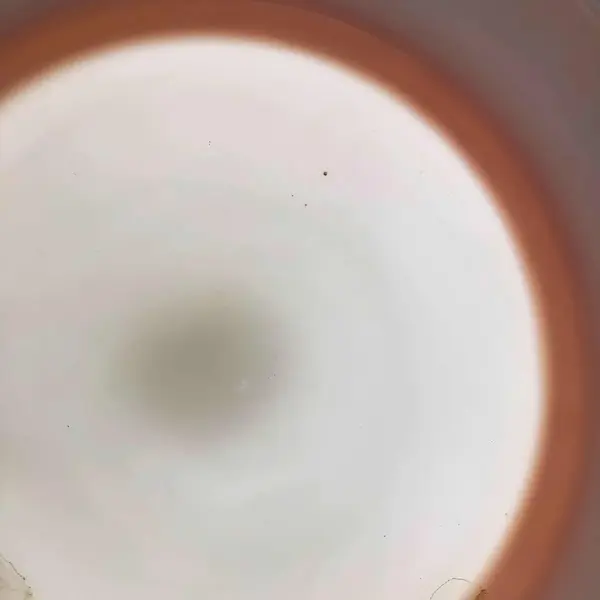 Foto de um(a) Antiga Rara Saladeira Art Deco Opalina E Metal Wmf, da categoria de Travessas e tigelas. Antiga e rara saladeira Art Deco, em opalina com borda em metal prateado, possivelmente WMF. Década de 1950-60. Altura... Mostrado de uma perspectiva diferente. Vendido no marketplace Trésors.