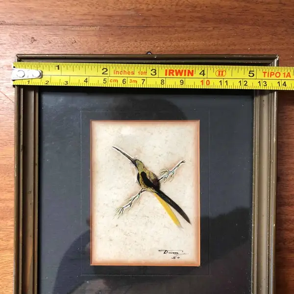 Foto de um(a) Antigo Diferente Quadro De Pássaro Feito Com Penas 1950, da categoria de Desenhos. Antigo e diferente quadrinho representando pássaro, desenhado e feito à mão com penas naturais. Assinado e datado de 1950,... Mostrado de uma perspectiva diferente. Vendido no marketplace Trésors.