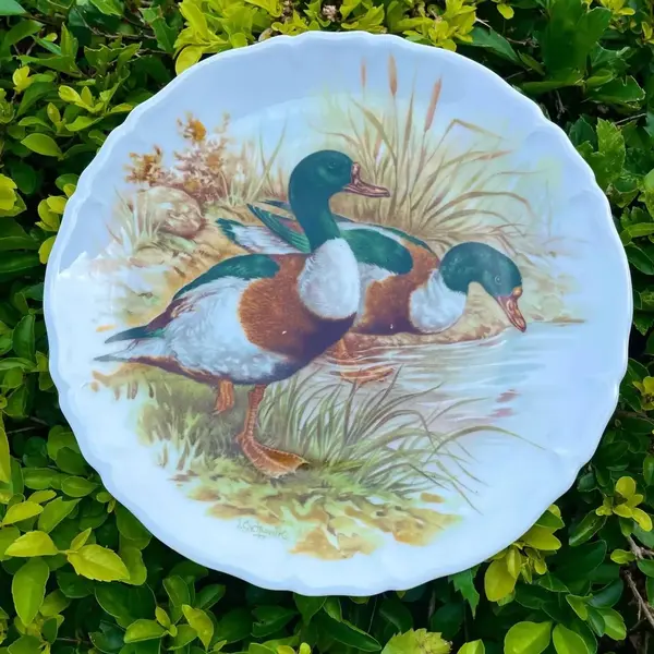 Foto de um(a) Antigo Prato Decorativos Patos Em Porcelana Francesa Limoges, da categoria de Pratos Decorativos. Limoges - France. Antigo e lindo prato decorativo em porcelana artística francesa, pintado à mão e assinado. Meados do... Mostrado de uma perspectiva diferente. Vendido no marketplace Trésors.