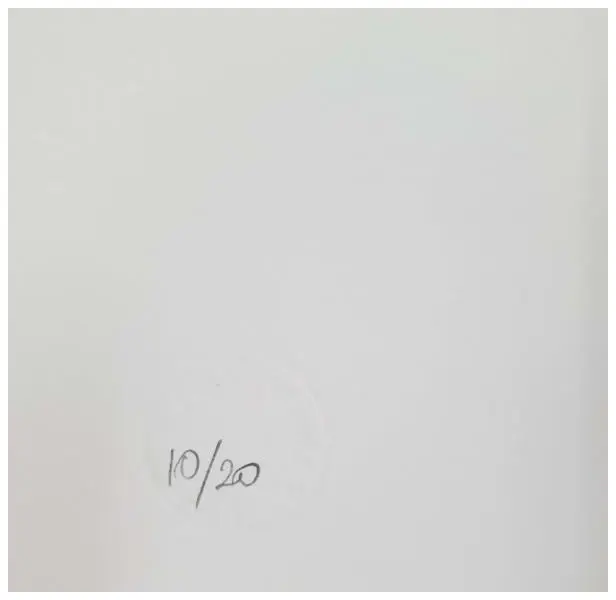 Foto de um(a) Kleber Ventura, "Onça" é uma serigrafia original P.I. (prova do impressor), medindo 70x100cm, sem moldura e assinada a mão pelo artista, da categoria de Serigrafia. José Kleber Ventura Leite (1950 – 2026) foi um proeminente desenhista, pintor, gravador e escultor brasileiro, reconhecido... Mostrado de uma perspectiva diferente. Vendido no marketplace Trésors.