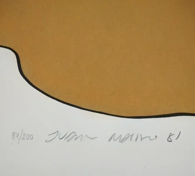 Foto de um(a) Juarez Machado - Gravura com espelho, datada de 1981 - exemplar 84 de 200, da categoria de Serigrafia. Juarez Machado - Gravura com espelho, datada de 1981, medindo 50x70 cm, exemplar 84 de 200, com moldura de alumínio escovado... Mostrado de uma perspectiva diferente. Vendido no marketplace Trésors.