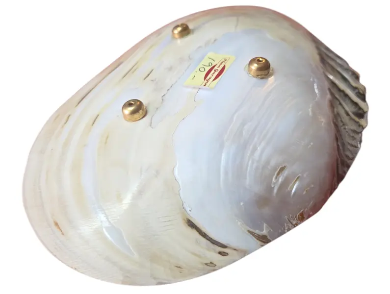 Foto de um(a) Pinga Joias em Madrepérola, da categoria de Porta-Jóias. Ilumine o seu visual com o brilho iridescente da nossa Pingajoia em Madrepérola. Cada peça é única, refletindo nuances... Mostrado de uma perspectiva diferente. Vendido no marketplace Trésors.