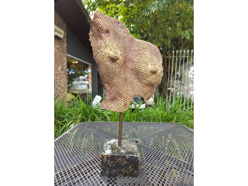 Foto de um(a) Torso Feminino Bronze - Lirdi M. Jorge, da categoria de Escultura. Torso feminino confeccionado em bronze. Obra assinada por Lirdi M. Jorge. Peça de caráter artístico e decorativo. Mostrado de uma perspectiva diferente. Vendido no marketplace Trésors.