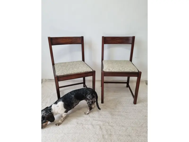 Foto de um(a) Par de Cadeiras Ernesto Hauner em Jacarandá, da categoria de Cadeiras de jantar. Par de Cadeiras em Jacarandá com o design modernista de Ernesto Hauner na década de 60, pela Mobilínea, sua marca de móveis... Mostrado de uma perspectiva diferente. Vendido no marketplace Trésors.