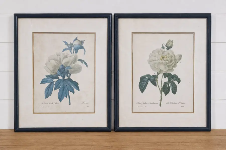 Foto de um(a) Lindo par de quadros com gravuras botânicas Séc. XIX Pierre-Joseph Redouté, da categoria de Impressões. Esses dois lindos quadros apresentam ilustrações botânicas clássicas do renomado pintor e botânico Pierre-Joseph Redouté. A... Mostrado de uma perspectiva diferente. Vendido no marketplace Trésors.