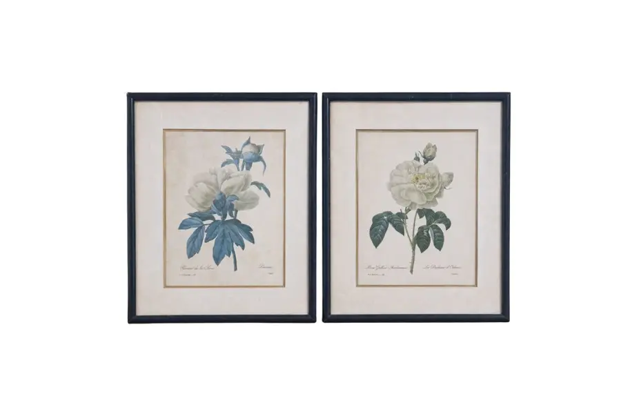 Foto de um(a) Lindo par de quadros com gravuras botânicas Séc. XIX Pierre-Joseph Redouté, da categoria de Impressões. Esses dois lindos quadros apresentam ilustrações botânicas clássicas do renomado pintor e botânico Pierre-Joseph Redouté. A... Vendido no marketplace Trésors.